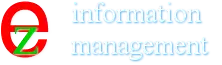 Logo Ez Information Management| Website Builder